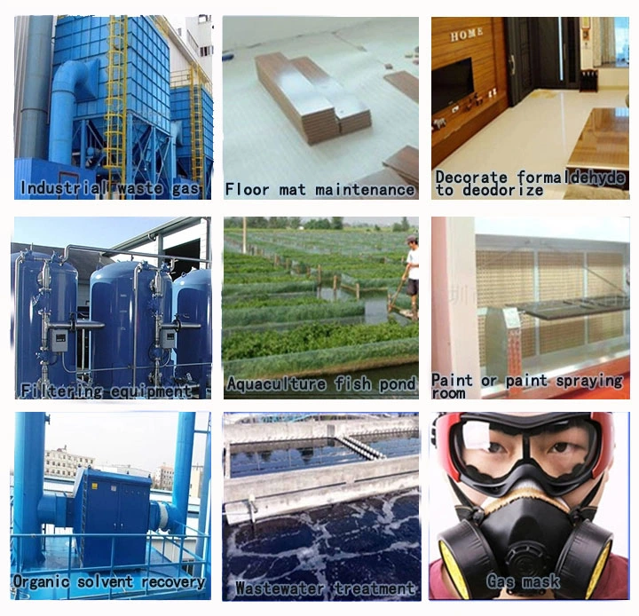 Activated Carbon Chemical Auxiliary Agent for Water and Food